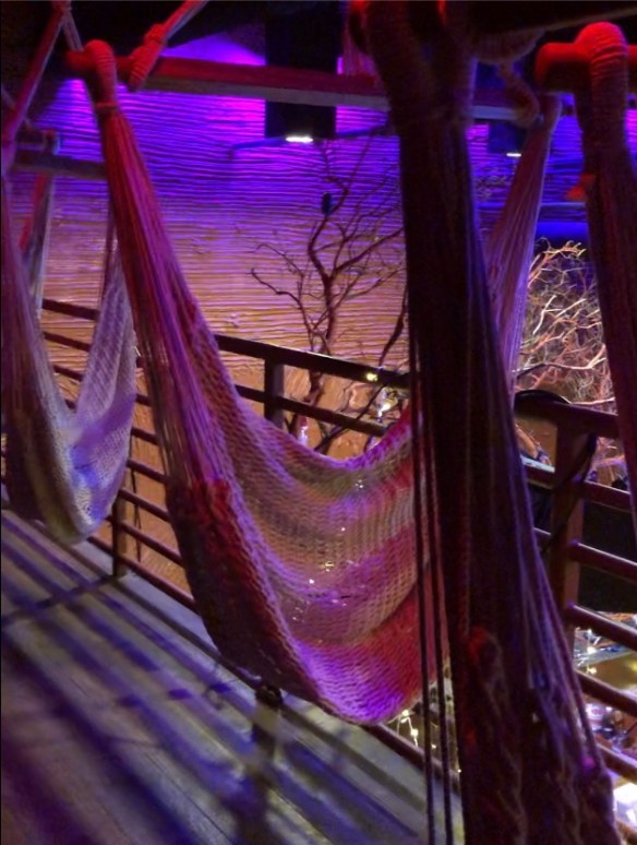 2AF1E84A-1D05-46E4-B61E-22F9AFAC8DFA_1_105_c